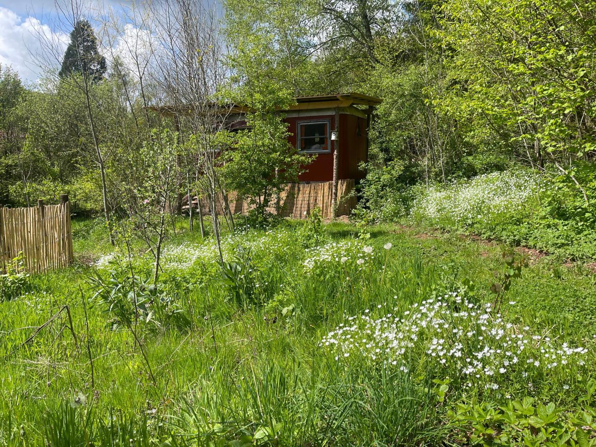 Kuscheliger Zirkuswagen Im Wildgarten Witzenhausen Extérieur photo